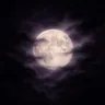 Moon icon representing nightly bonuses